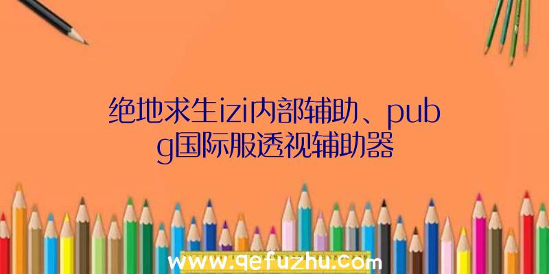 绝地求生izi内部辅助、pubg国际服透视辅助器