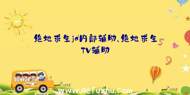 绝地求生jd内部辅助、绝地求生TV辅助