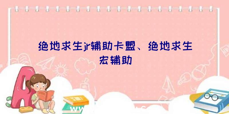 绝地求生jr辅助卡盟、绝地求生宏辅助