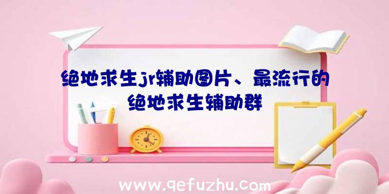 绝地求生jr辅助图片、最流行的绝地求生辅助群