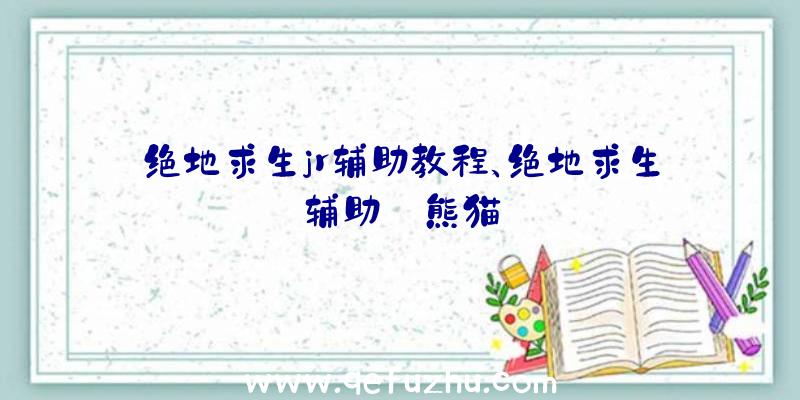 绝地求生jr辅助教程、绝地求生辅助