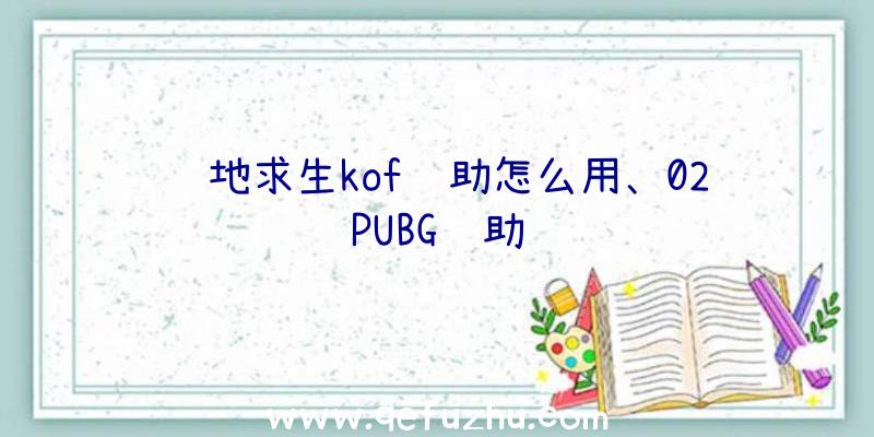 绝地求生kof辅助怎么用、02PUBG辅助