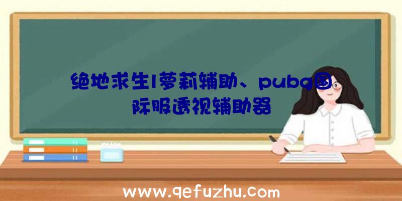 绝地求生l萝莉辅助、pubg国际服透视辅助器