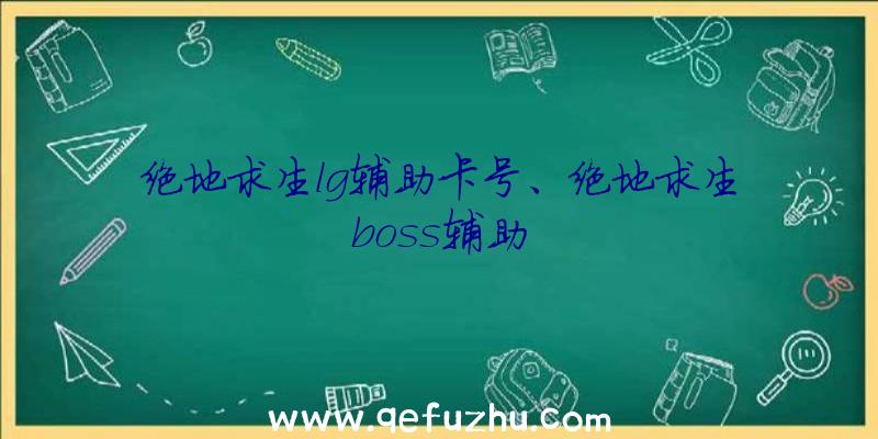 绝地求生lg辅助卡号、绝地求生boss辅助