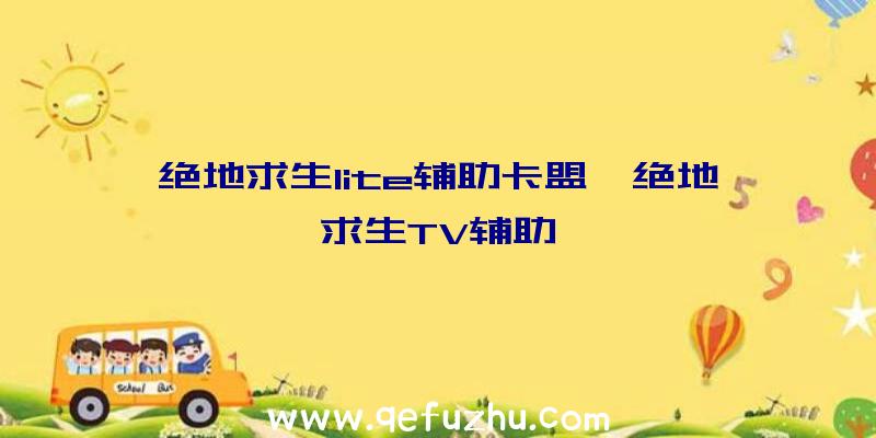 绝地求生lite辅助卡盟、绝地求生TV辅助