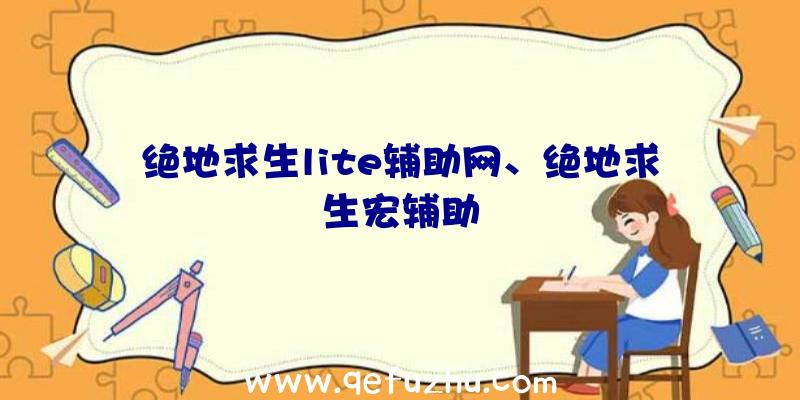 绝地求生lite辅助网、绝地求生宏辅助