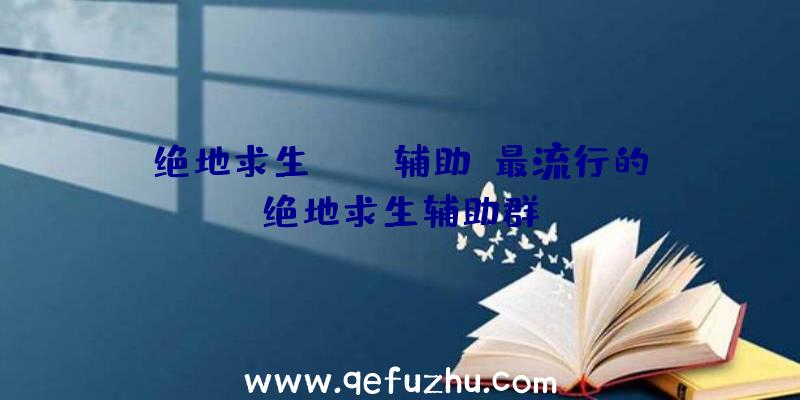 绝地求生ltie辅助、最流行的绝地求生辅助群