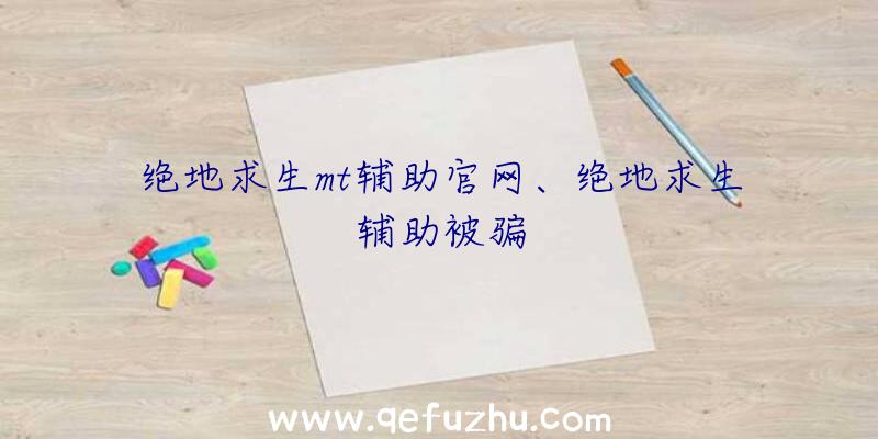 绝地求生mt辅助官网、绝地求生辅助被骗