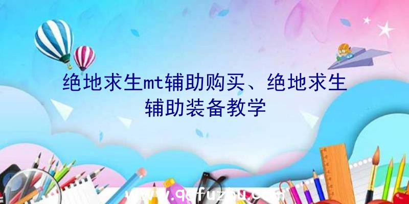 绝地求生mt辅助购买、绝地求生辅助装备教学