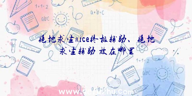 绝地求生nice终极辅助、绝地求生辅助