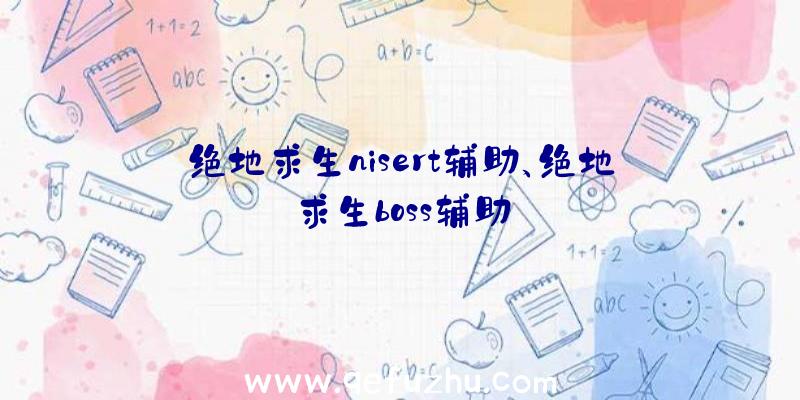 绝地求生nisert辅助、绝地求生boss辅助