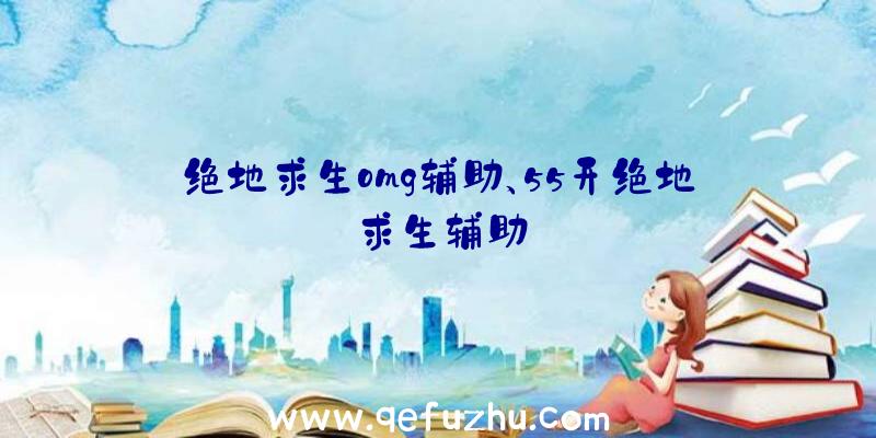 绝地求生omg辅助、55开绝地求生辅助