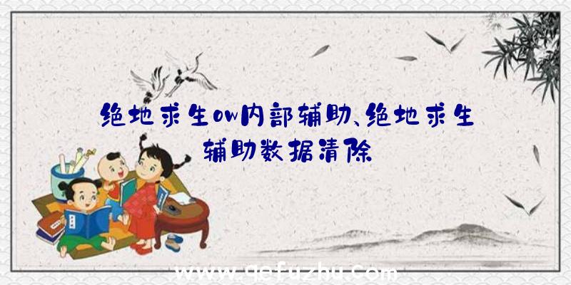 绝地求生ow内部辅助、绝地求生辅助数据清除