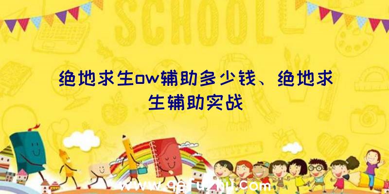 绝地求生ow辅助多少钱、绝地求生辅助实战