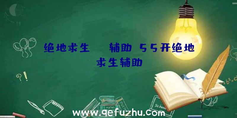 绝地求生pan辅助、55开绝地求生辅助