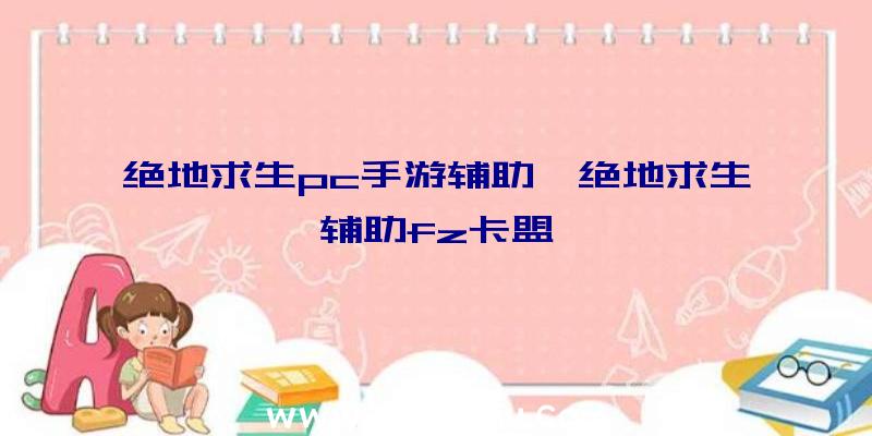 绝地求生pc手游辅助、绝地求生辅助fz卡盟