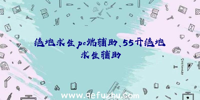 绝地求生pc端辅助、55开绝地求生辅助