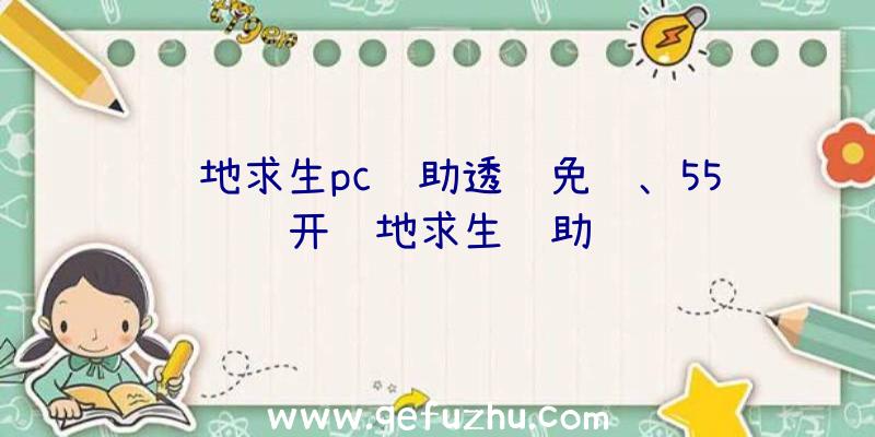 绝地求生pc辅助透视免费、55开绝地求生辅助