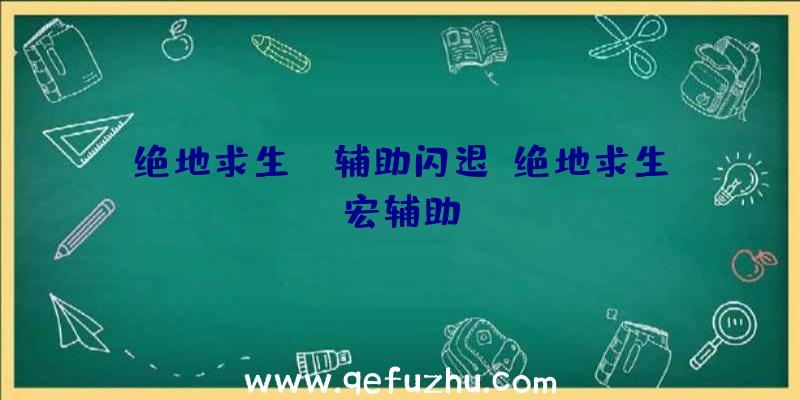 绝地求生ps辅助闪退、绝地求生宏辅助