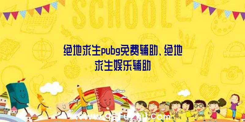 绝地求生pubg免费辅助、绝地求生娱乐辅助