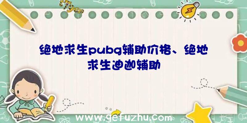 绝地求生pubg辅助价格、绝地求生迪迦辅助