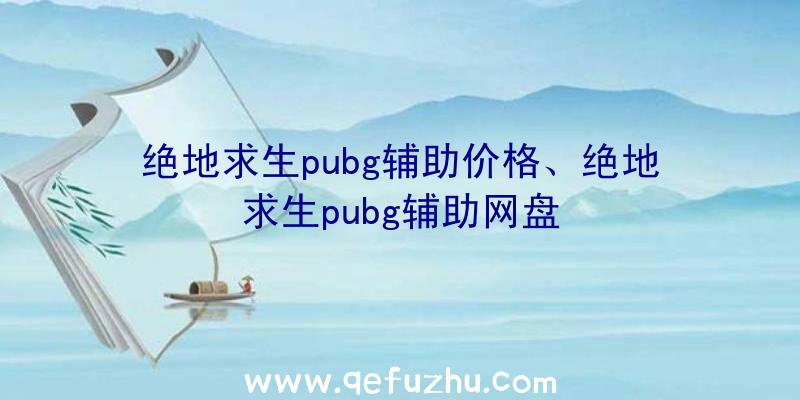 绝地求生pubg辅助价格、绝地求生pubg辅助网盘