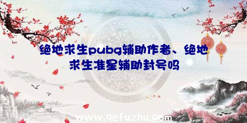 绝地求生pubg辅助作者、绝地求生准星辅助封号吗