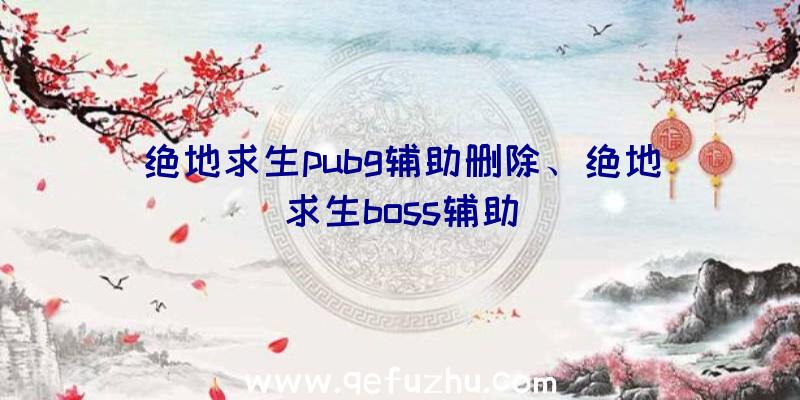 绝地求生pubg辅助删除、绝地求生boss辅助