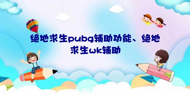 绝地求生pubg辅助功能、绝地求生wk辅助