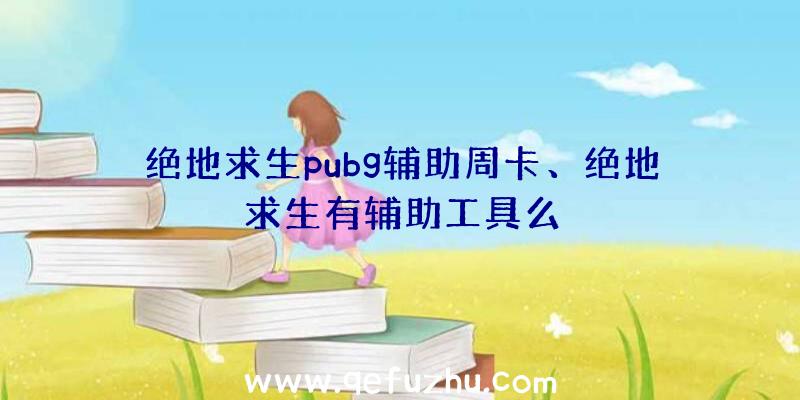 绝地求生pubg辅助周卡、绝地求生有辅助工具么