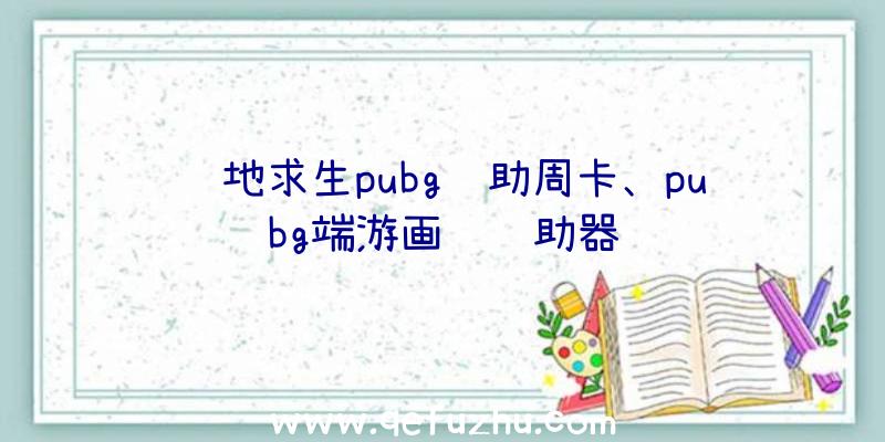 绝地求生pubg辅助周卡、pubg端游画质辅助器