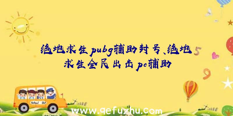 绝地求生pubg辅助封号、绝地求生全民出击pc辅助