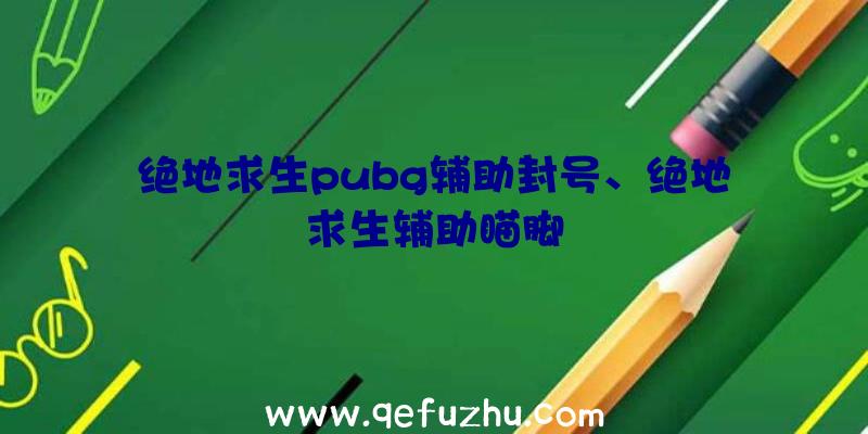 绝地求生pubg辅助封号、绝地求生辅助瞄脚