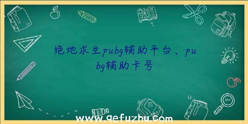 绝地求生pubg辅助平台、pubg辅助卡号