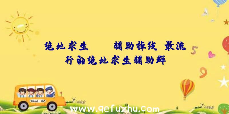 绝地求生pubg辅助掉线、最流行的绝地求生辅助群