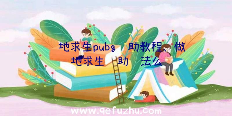 绝地求生pubg辅助教程、做绝地求生辅助违法么