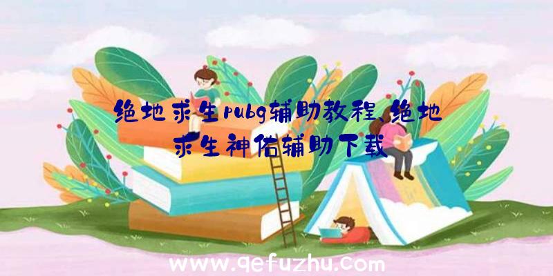 绝地求生pubg辅助教程、绝地求生神佑辅助下载