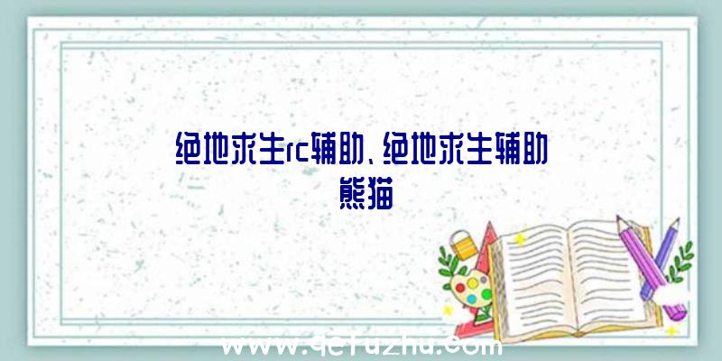 绝地求生rc辅助、绝地求生辅助