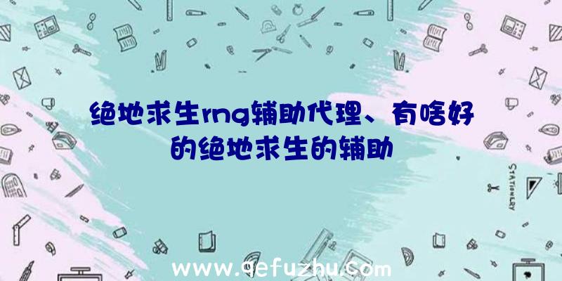 绝地求生rng辅助代理、有啥好的绝地求生的辅助