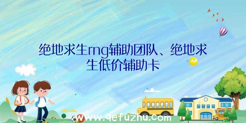 绝地求生rng辅助团队、绝地求生低价辅助卡