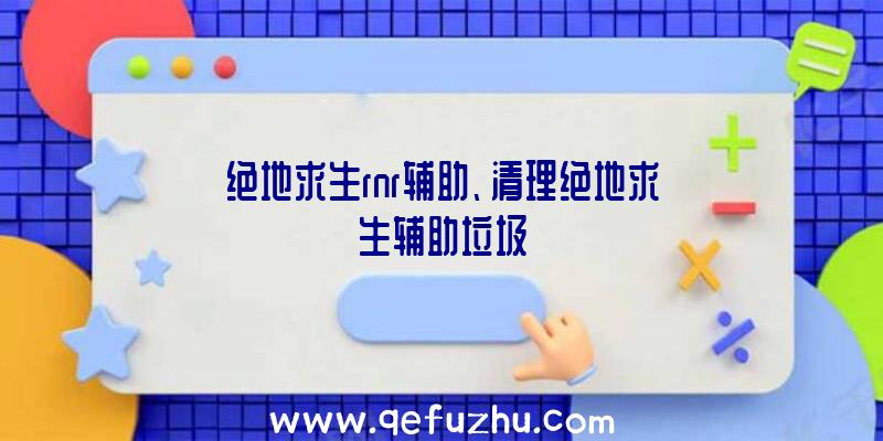 绝地求生rnr辅助、清理绝地求生辅助垃圾