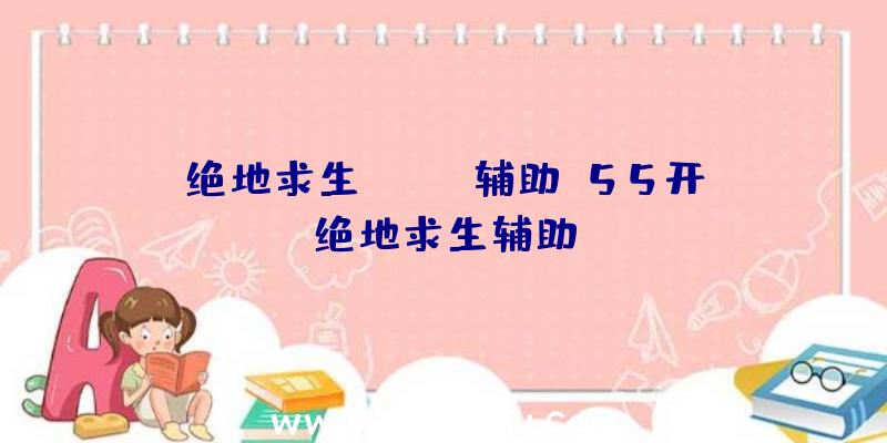 绝地求生royal辅助、55开绝地求生辅助