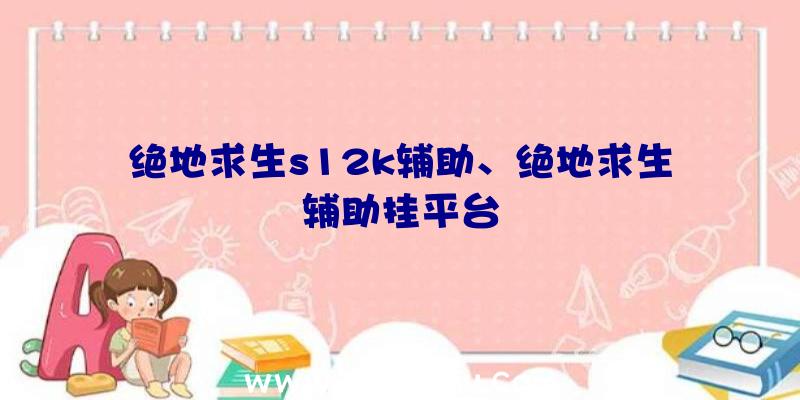 绝地求生s12k辅助、绝地求生辅助挂平台