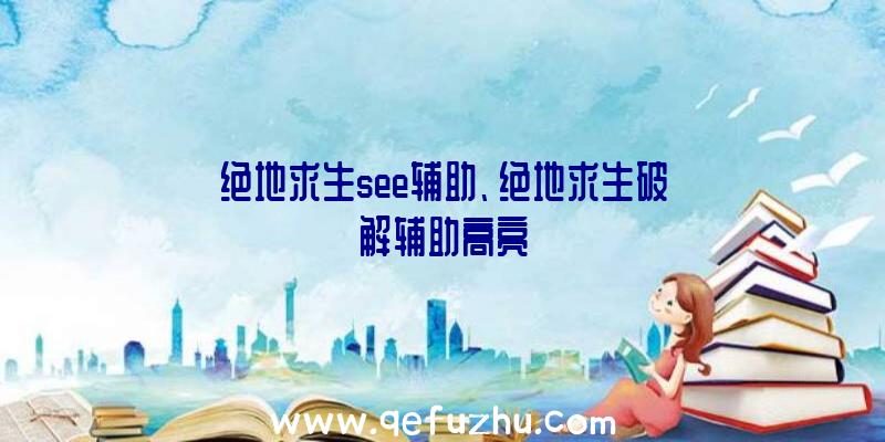 绝地求生see辅助、绝地求生破解辅助高亮