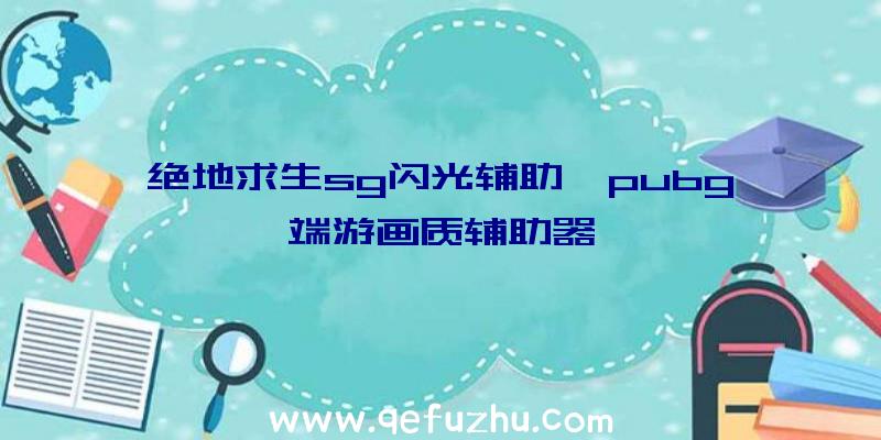 绝地求生sg闪光辅助、pubg端游画质辅助器