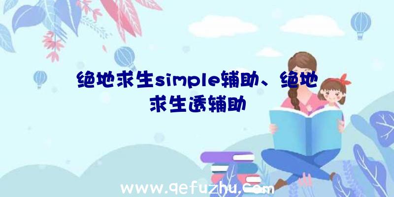 绝地求生simple辅助、绝地求生透辅助