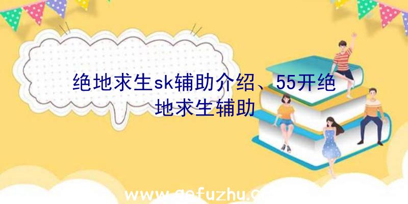 绝地求生sk辅助介绍、55开绝地求生辅助