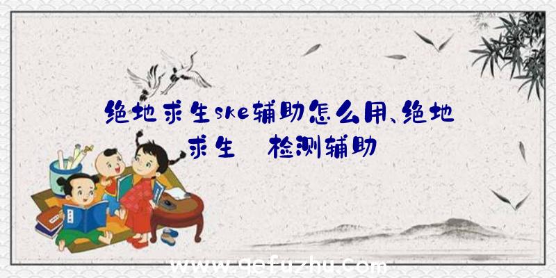 绝地求生ske辅助怎么用、绝地求生