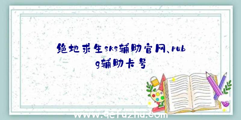 绝地求生sks辅助官网、pubg辅助卡号