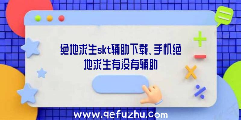 绝地求生skt辅助下载、手机绝地求生有没有辅助